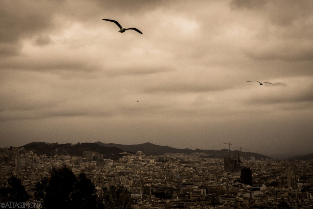 What I Wish I Knew Before Visiting Barcelona: Honest