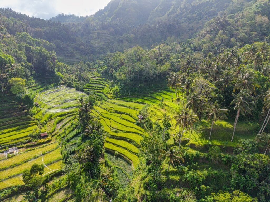 Where to Stay in Bali, Indonesia: 8 Areas and Hotels